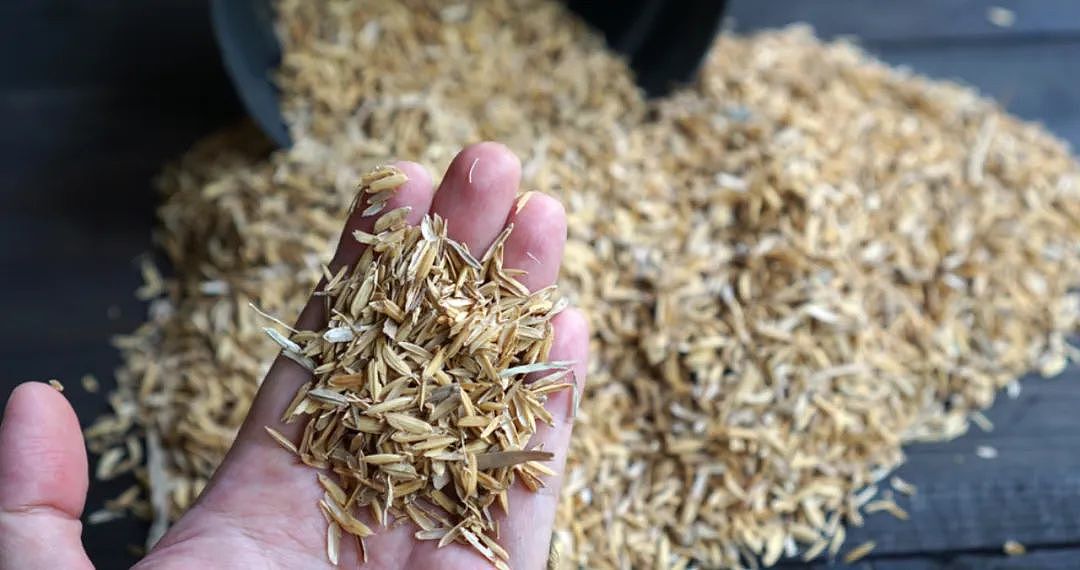 大米麸皮抗抑郁新突破：SAT-3D数据揭秘 49%症状改善！