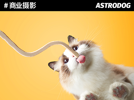 宠物食品拍摄——麦富迪亲嘴鱼功能性猫条/美毛/去毛球