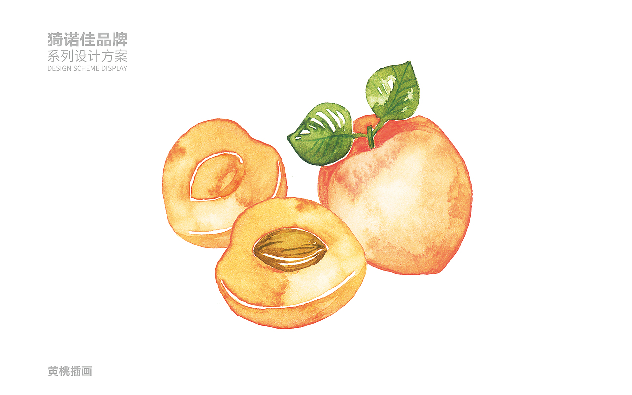 怡诺佳&水果包装系列设计（图ZMzkyMzEzMTEy） - 包装 - 站酷设计师塞北蒙人原创素材 - 站酷ZCOOL