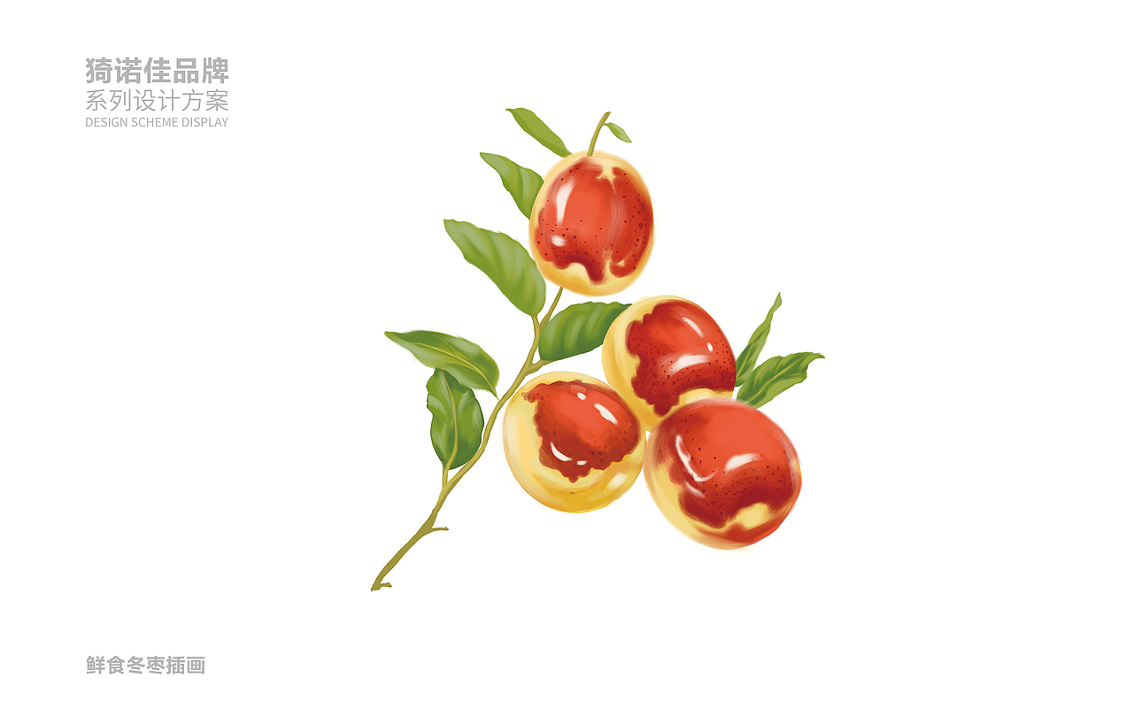 怡诺佳&水果包装系列设计（图ZMzkyMzEzMjA4） - 包装 - 站酷设计师塞北蒙人原创素材 - 站酷ZCOOL