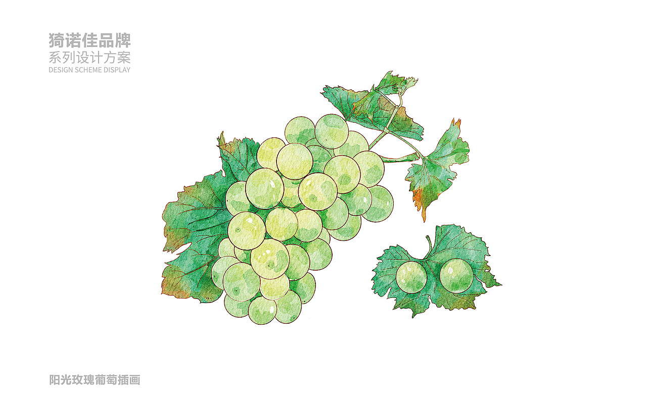 怡诺佳&水果包装系列设计（图ZMzkyMzEzMTg0） - 包装 - 站酷设计师塞北蒙人原创素材 - 站酷ZCOOL