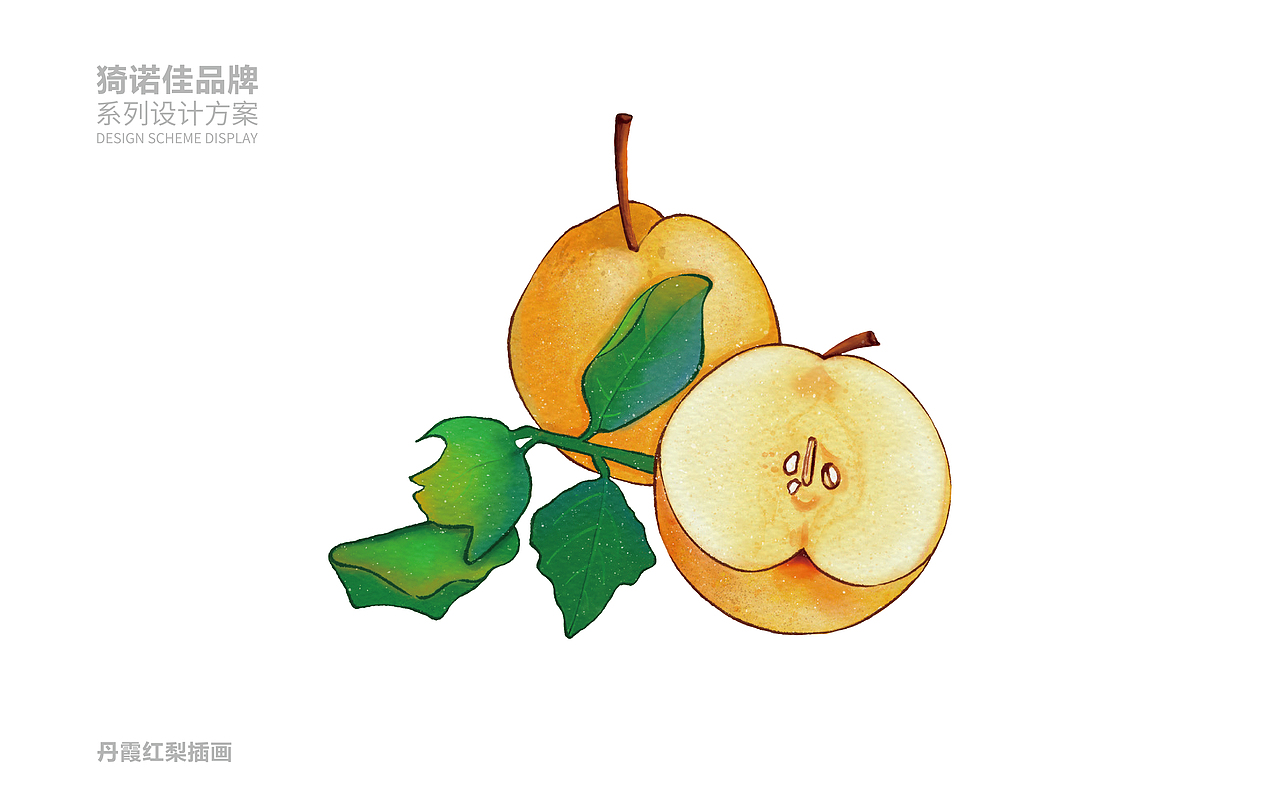 怡诺佳&水果包装系列设计（图ZMzkyMzEzMTM2） - 包装 - 站酷设计师塞北蒙人原创素材 - 站酷ZCOOL