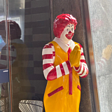 chesburger的头像