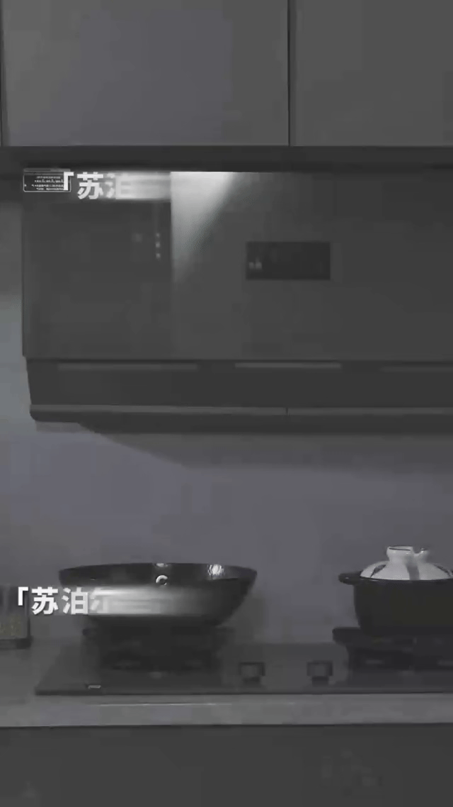 苏泊尔油烟机-家用电器烟灶电商产品宣传视频-MAX传媒（图ZMzkyMzQ1MTAw） - 宣传片 - 站酷设计师MAX传媒原创素材 - 站酷ZCOOL