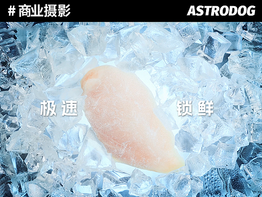 宠物食品主图视频拍摄——艾尔冻干三拼犬猫粮