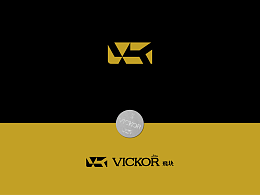 飛块品牌视觉设计LOGO设计 品牌标志