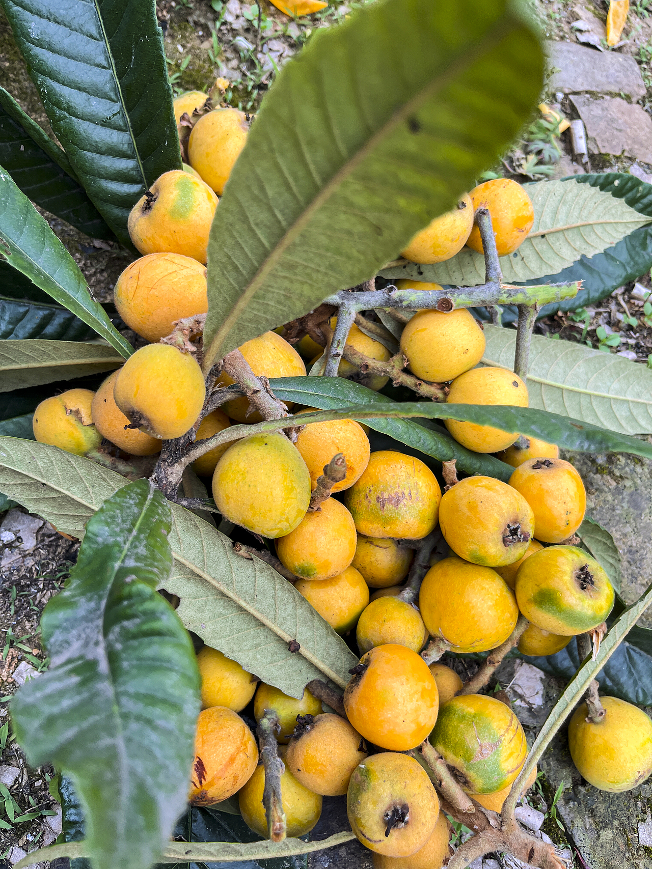 成年人的世界~回一趟老家相当于看了一次心理医生~