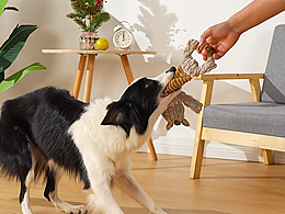 产品拍摄-主图视频-宠物玩具