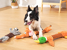 产品拍摄-主图视频-宠物玩具