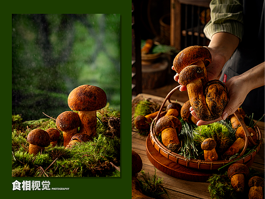 牛肝菌拍摄｜野生菌菇摄影 云南山珍美味