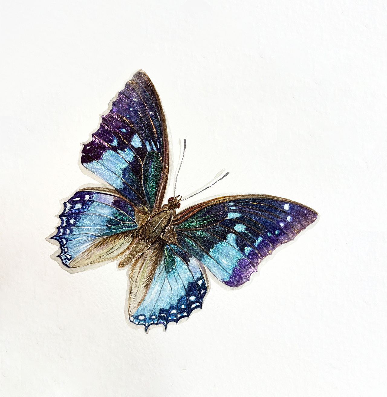 所有春天都住在翅膀里-蝶舞人生（圖ZMzkyNDA0MDY4） - 藝術(shù)插畫 - 站酷設(shè)計(jì)師水木之沐原創(chuàng)素材 - 站酷ZCOOL