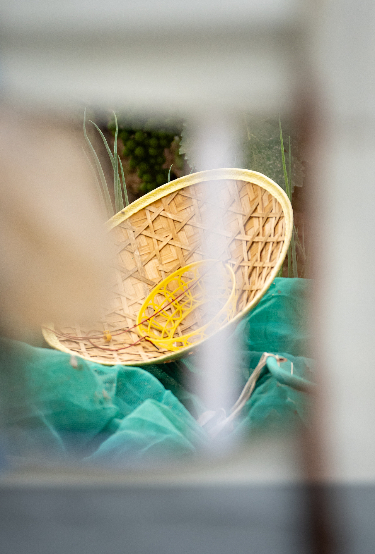 田間地頭，生活的碎片，藏著溫柔與力量（圖ZMzkyNDQ0Nzg0） - 風(fēng)光攝影 - 站酷設(shè)計(jì)師machuanchi原創(chuàng)素材 - 站酷ZCOOL