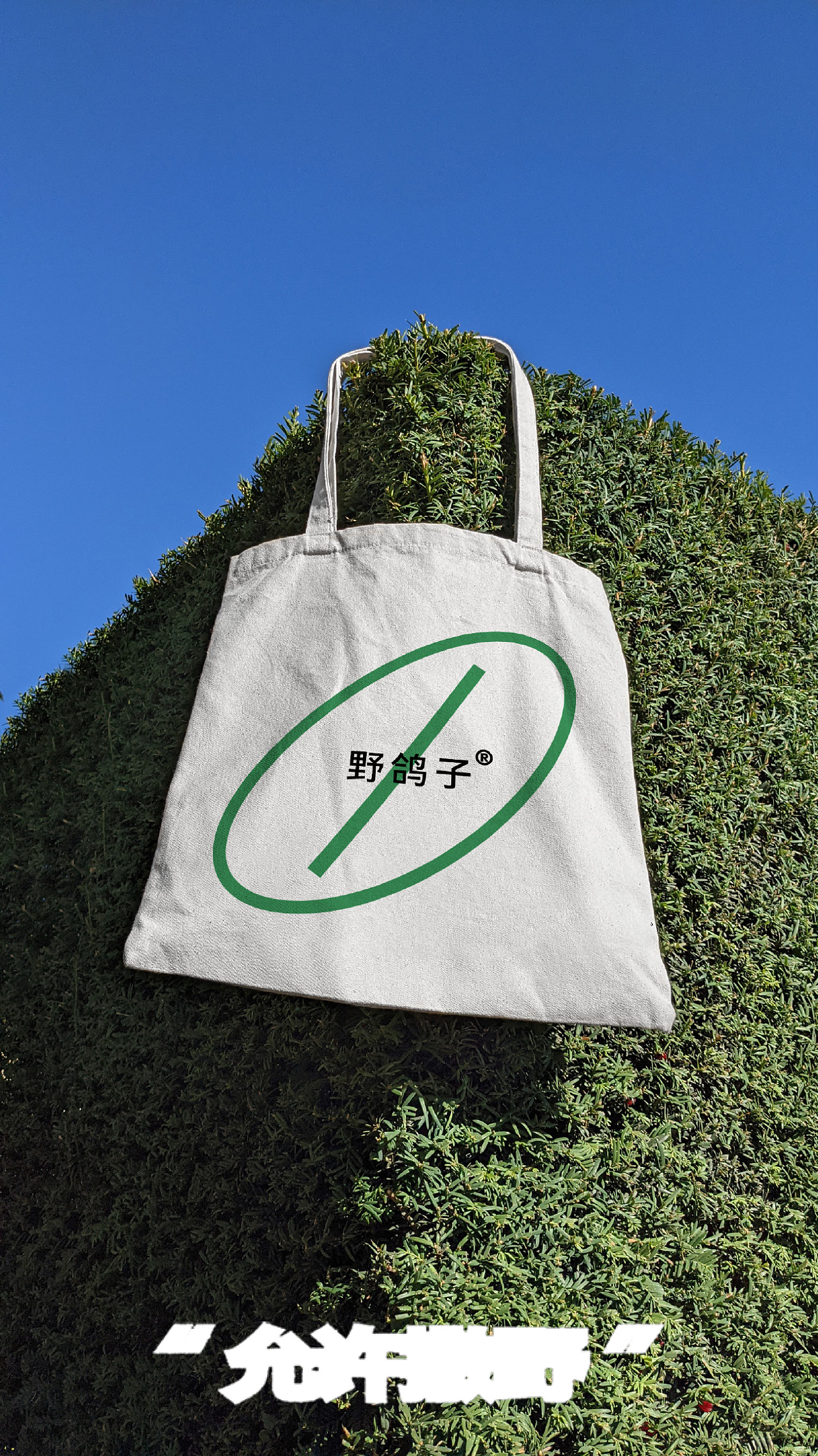 WILD PIGEONS COFFEE 野鸽子咖啡 | 品牌运营视觉设计