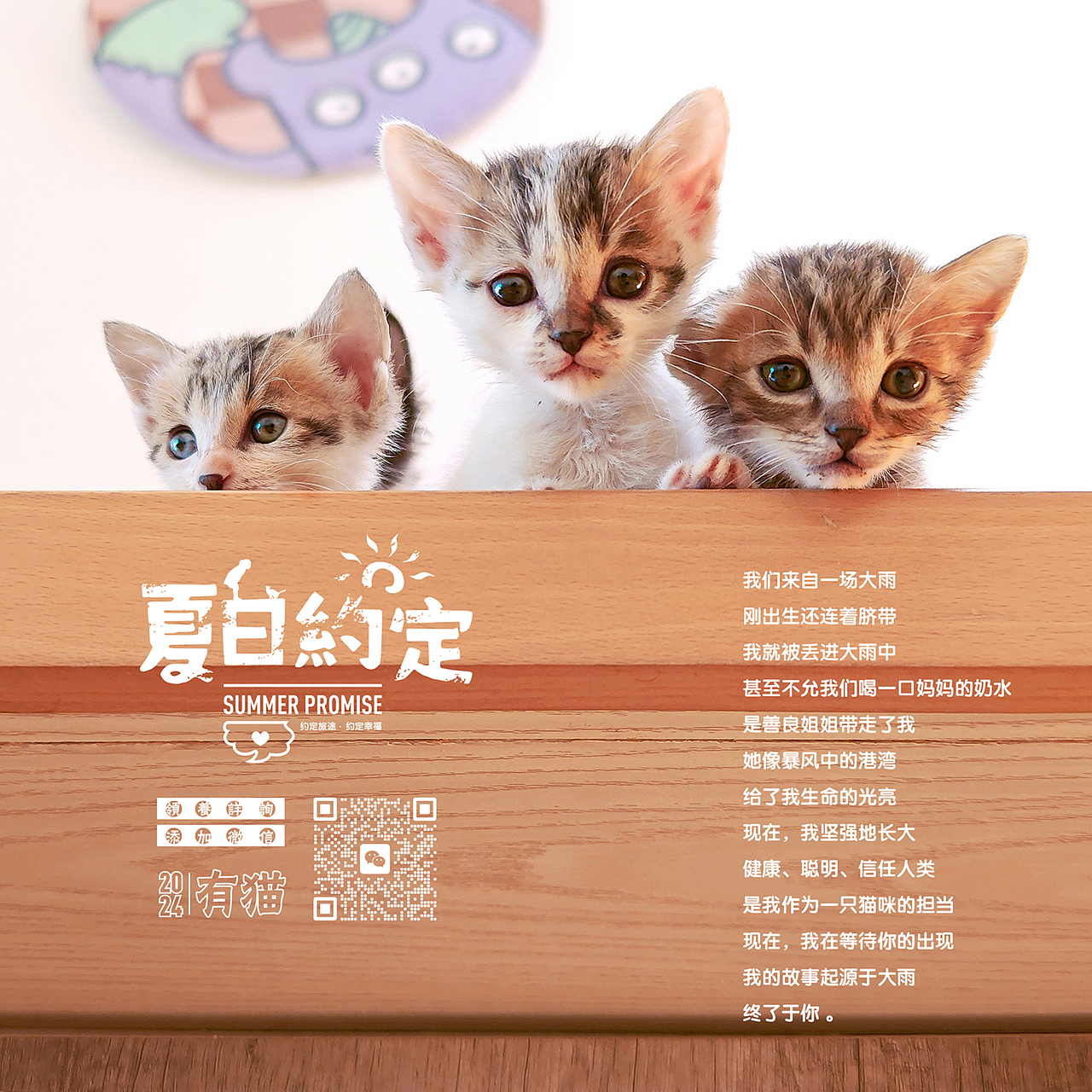 猫咪领养公益海报系列