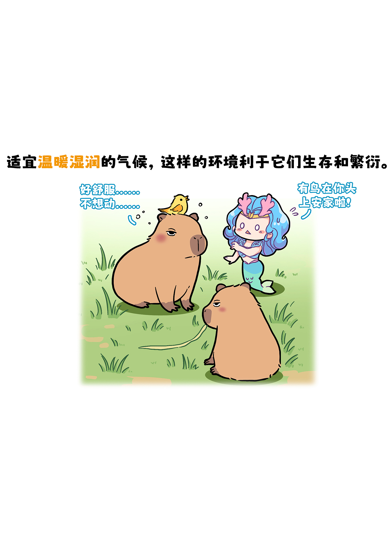 水豚独特的生活环境