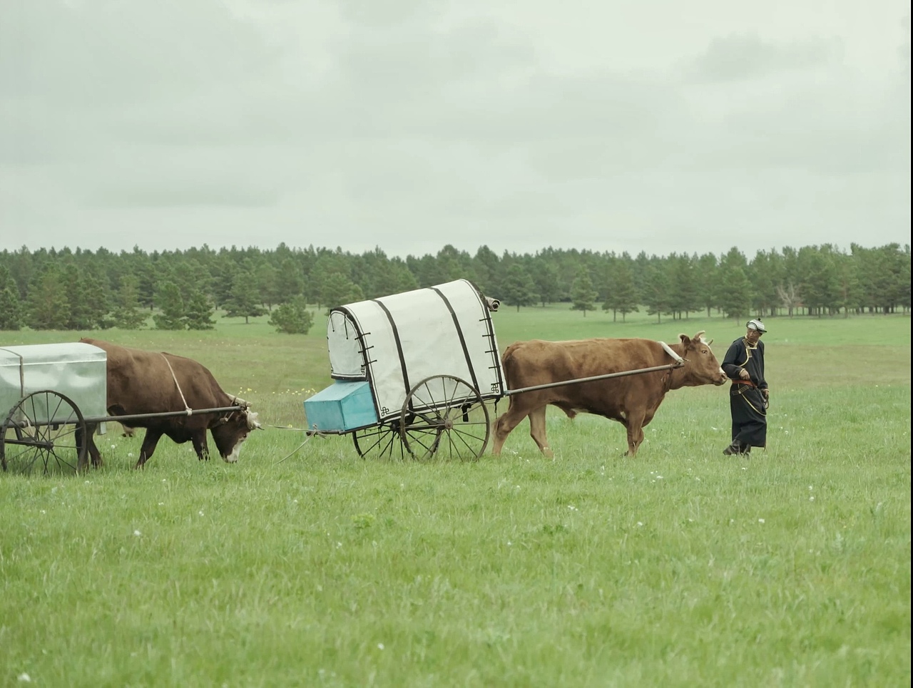 城市人文系列之「草原牧歌」