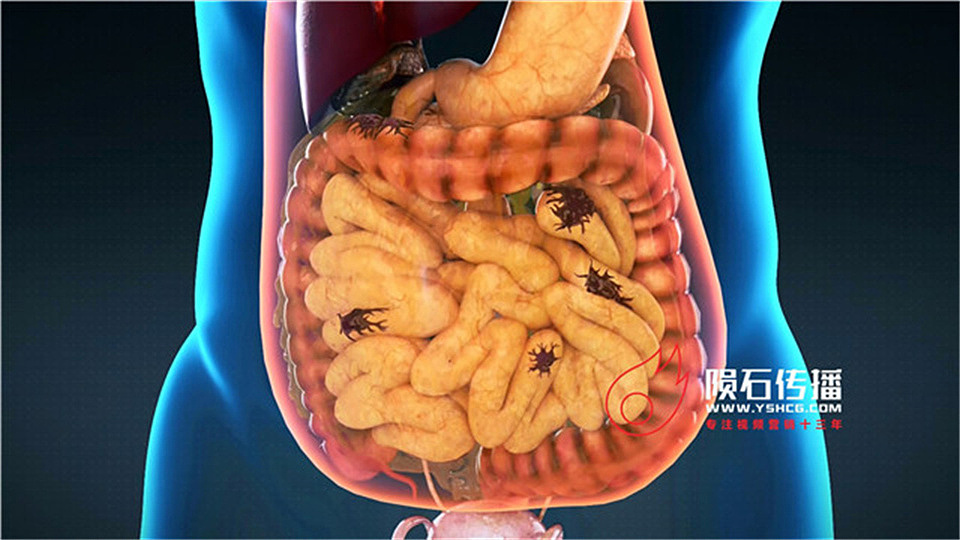 低成本高效果的医学科普神器：医疗三维动画