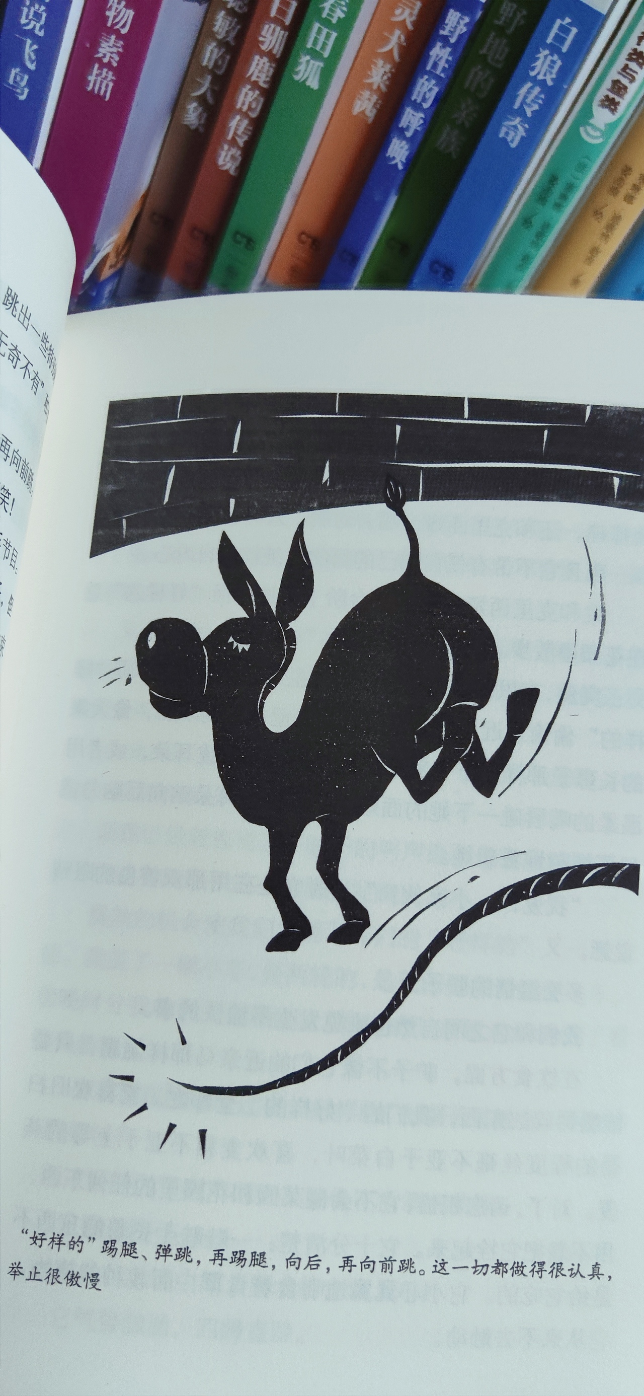 《世界动物文学经典译丛》插图