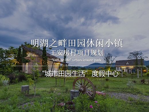 2024明湖之畔田园休闲小镇王安房村乡村振兴规划案