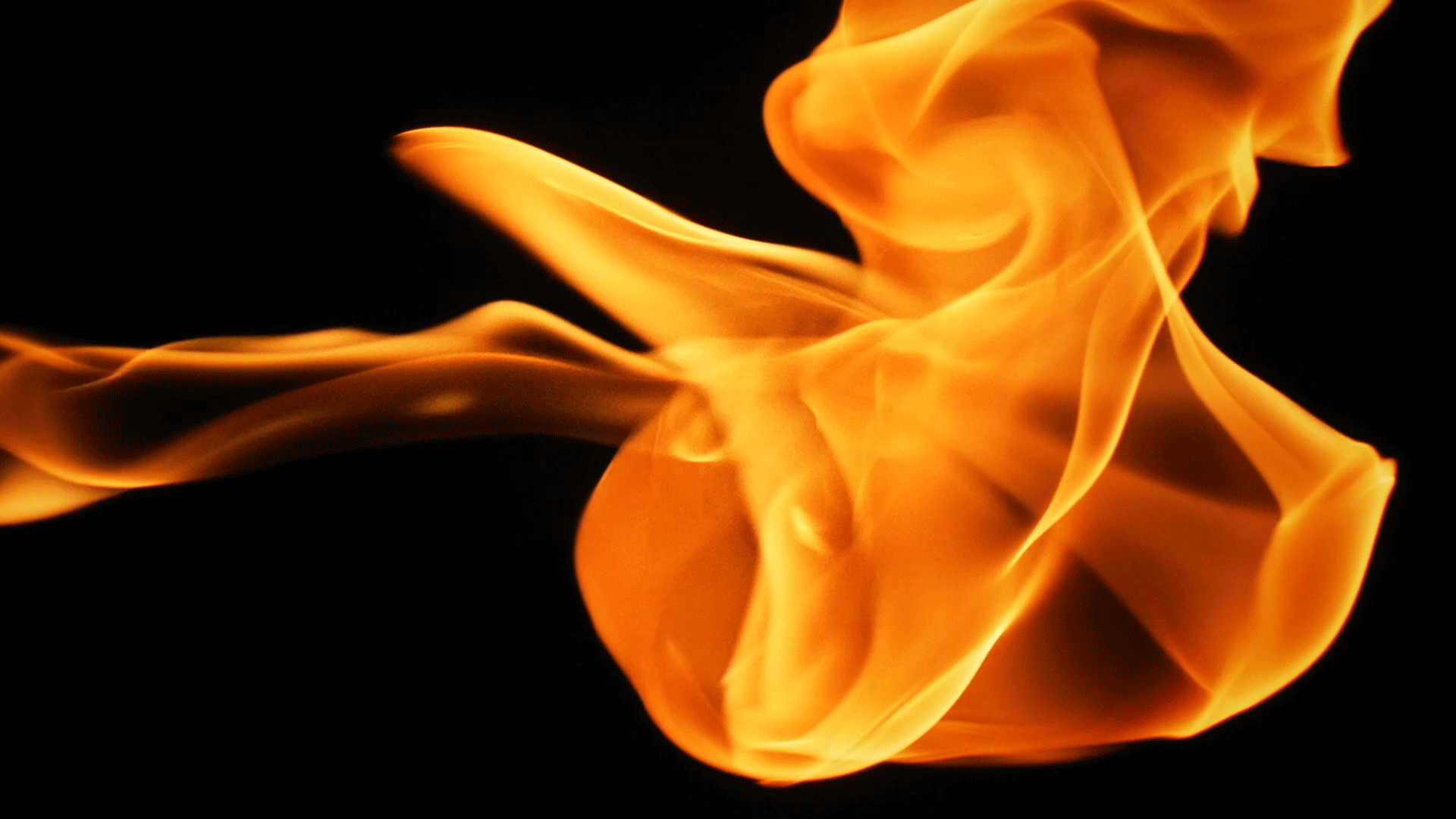 品牌食品宣传片 | 甘源 ✖ 锤子视觉