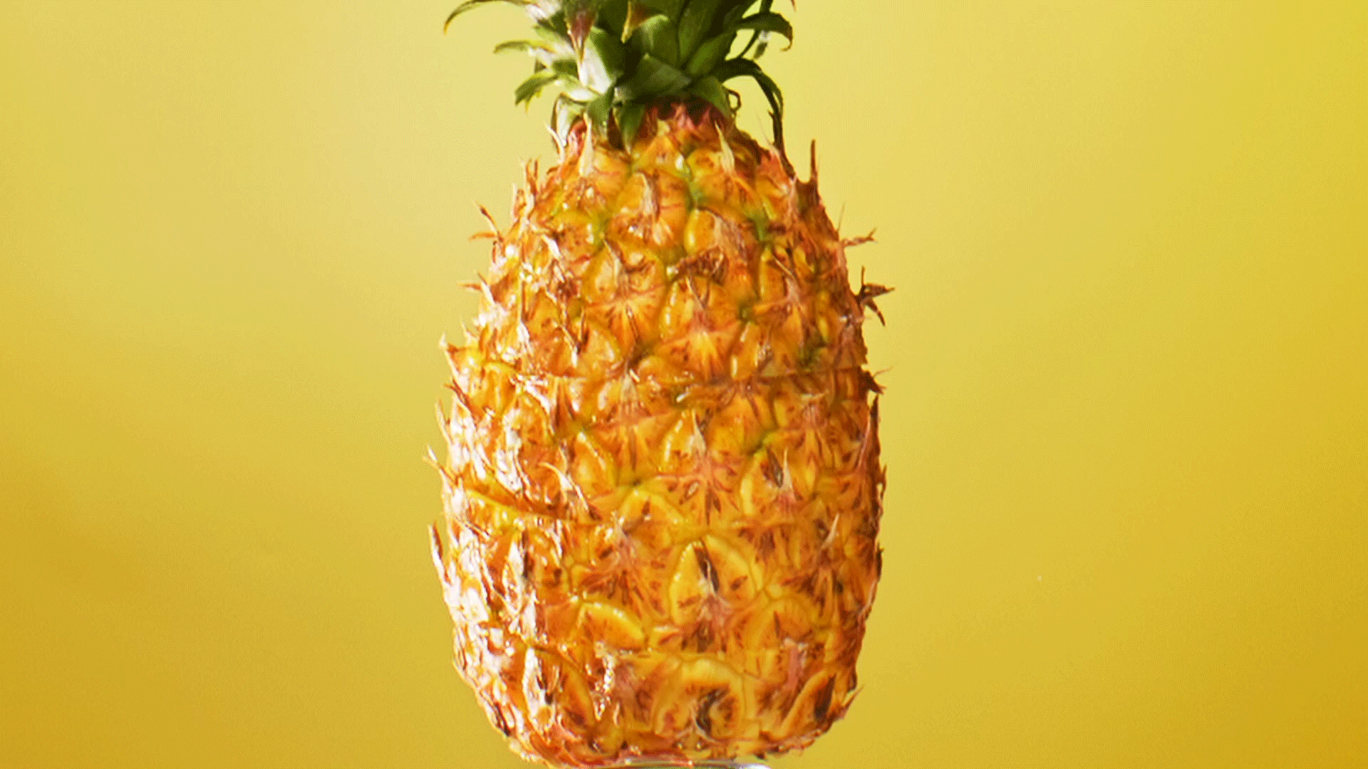 品牌食品宣传片 | 甘源 ✖ 锤子视觉