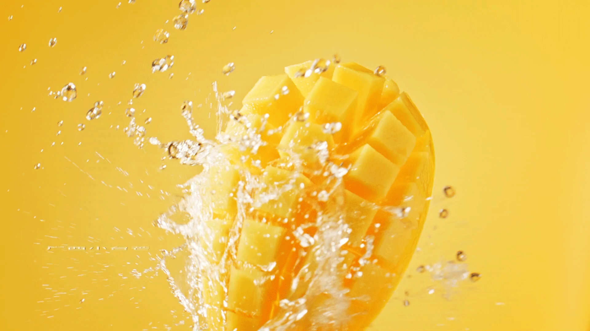 品牌食品宣传片 | 甘源 ✖ 锤子视觉