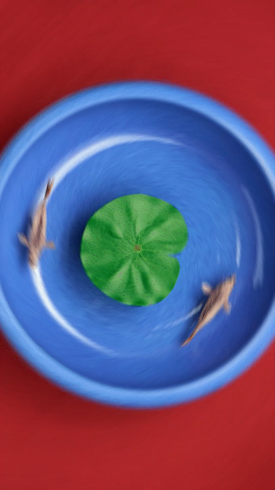 汾酒蛇年礼盒 “新年好巳(事)”定格动画