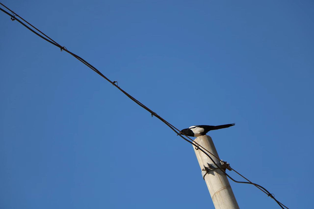 日常戶外（圖ZMzkyNTU1MTI0） - 風(fēng)光攝影 - 站酷設(shè)計師墨飛_design原創(chuàng)素材 - 站酷ZCOOL