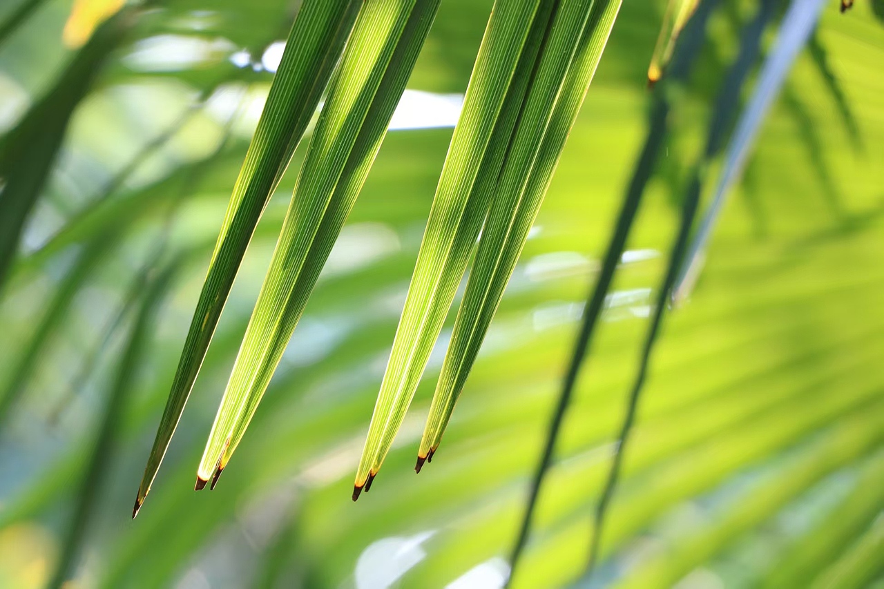 日常戶外（圖ZMzkyNTU1MTMy） - 風(fēng)光攝影 - 站酷設(shè)計師墨飛_design原創(chuàng)素材 - 站酷ZCOOL