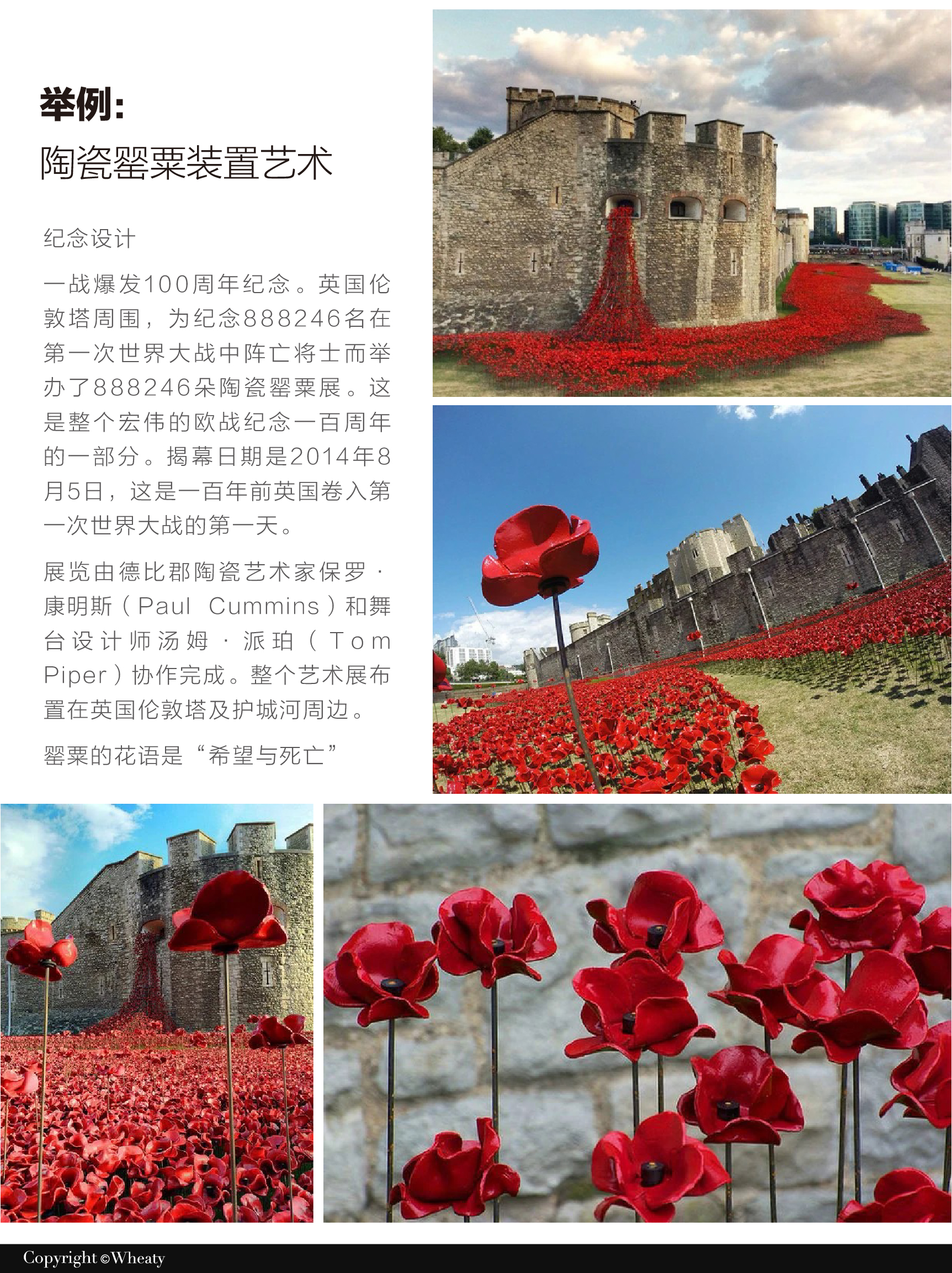 植物花卉文化作为新文创的灵感来源（全面解析）（图ZMTUxMzE2ODQ=） - 观点 - 站酷设计师三一設計Wheaty原创素材 - 站酷ZCOOL