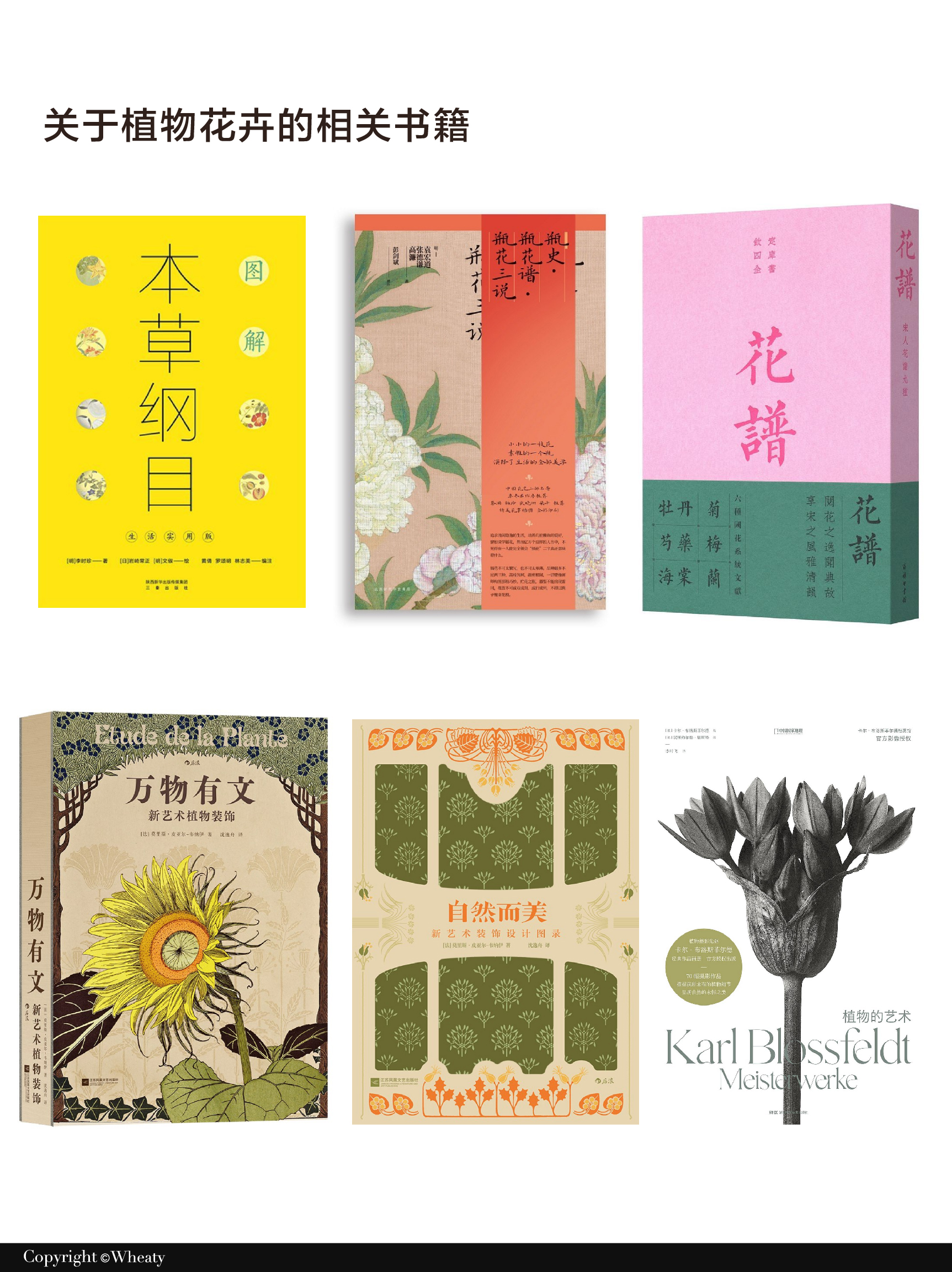 植物花卉文化作为新文创的灵感来源（全面解析）（图ZMTUxMzE2OTI=） - 观点 - 站酷设计师三一設計Wheaty原创素材 - 站酷ZCOOL