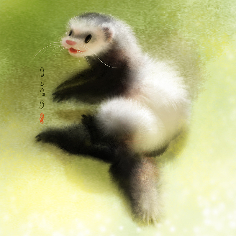 最近画的一些猫猫狗狗狍狍貂貂