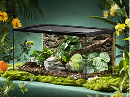 静物摄影|产品图