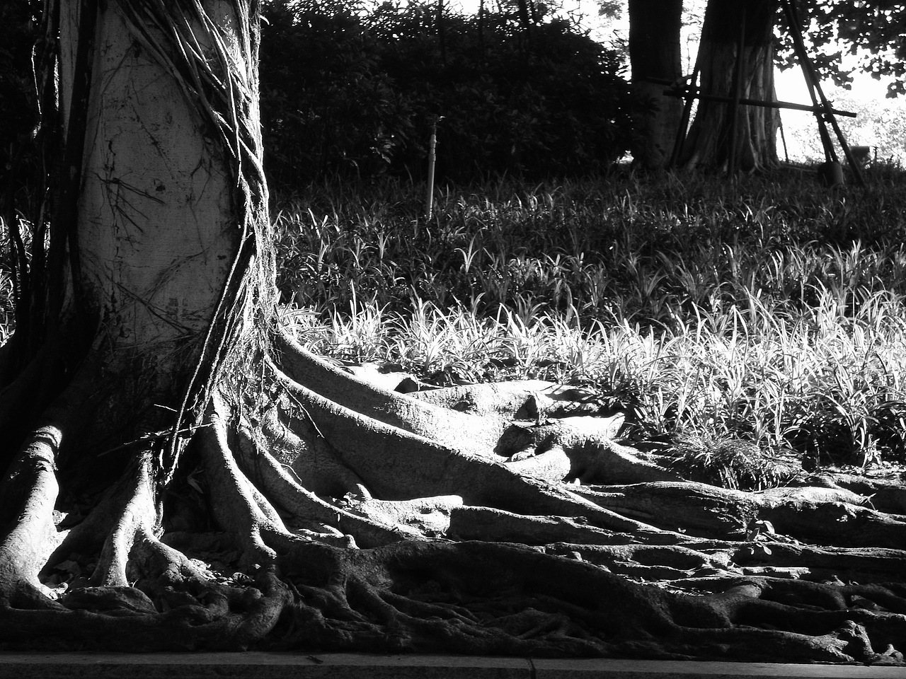 档案摄影（图ZMzkyNjAyOTY4） - 其他摄影 - 站酷设计师Joy王王工作室原创素材 - 站酷ZCOOL