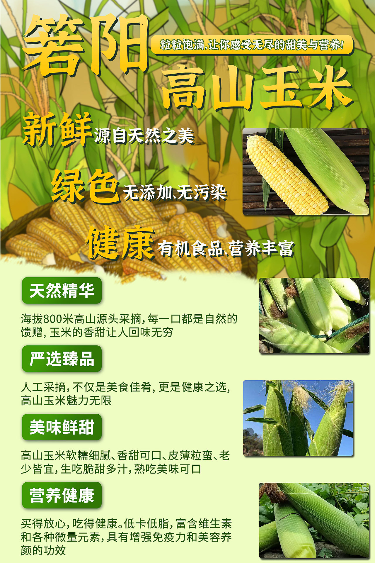 私域平台宣传海报/宣传单页/店铺装修