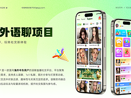 海外项目UI总结·作品集