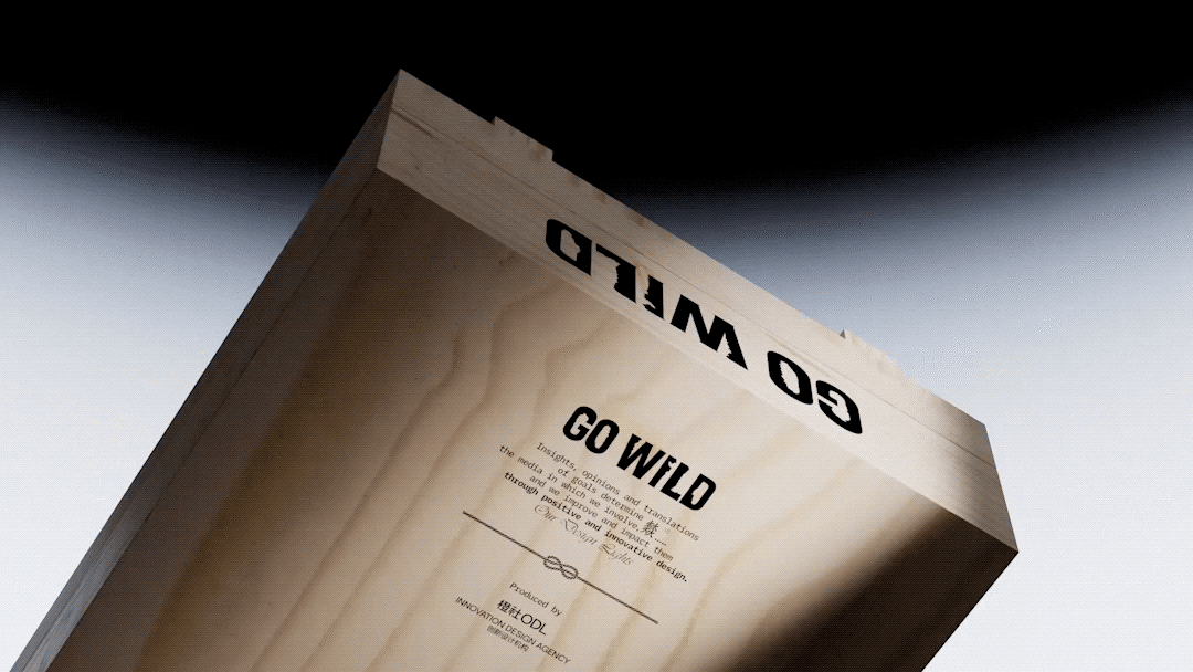 GO WILD 燚|包装产品设计礼盒文创设计纪念品