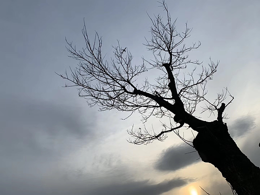 手机随拍/随心而拍