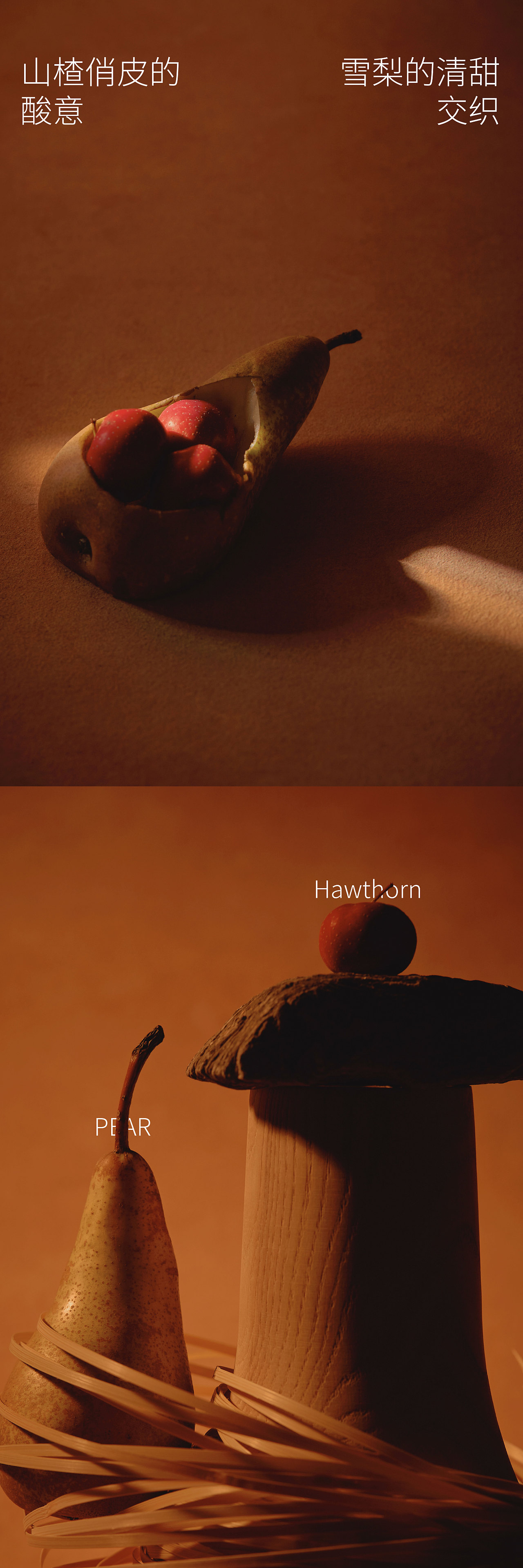 小吊梨汤 XIAODIAO PEAR SOUP