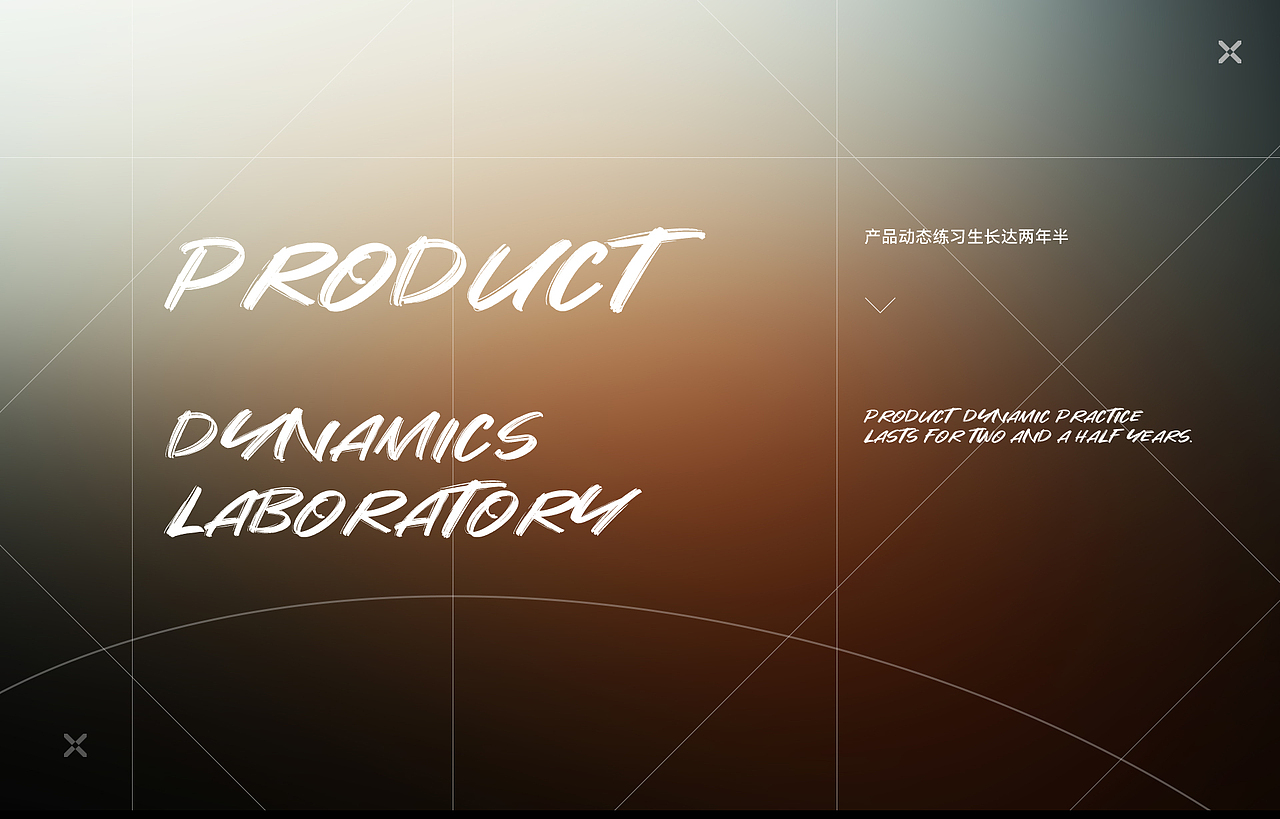 序-静态-动态-集