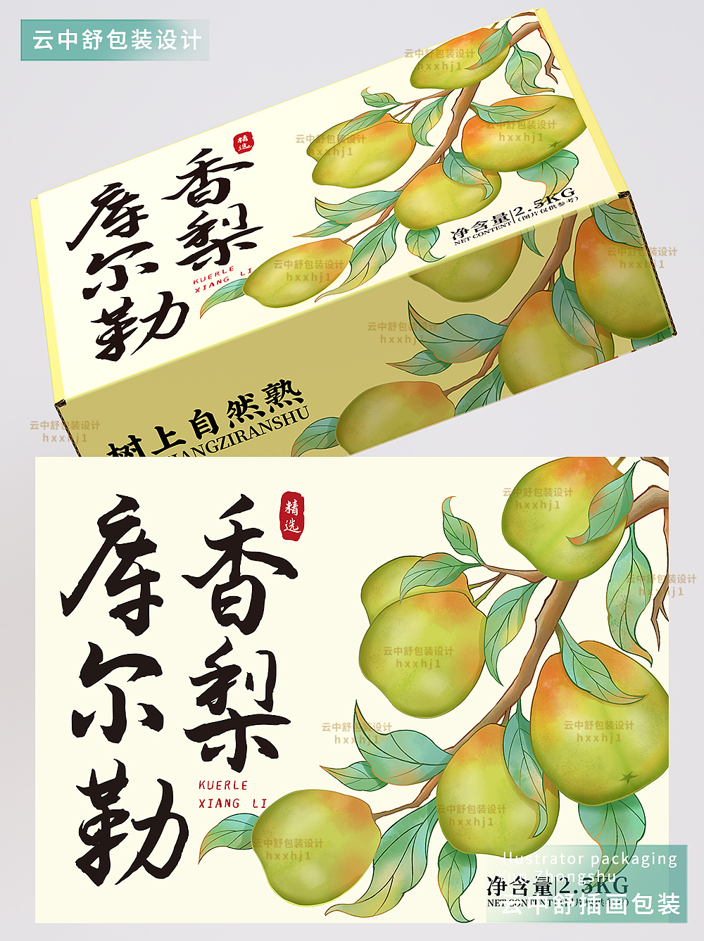 库尔勒香梨包装设计高端礼盒香梨插画可授权