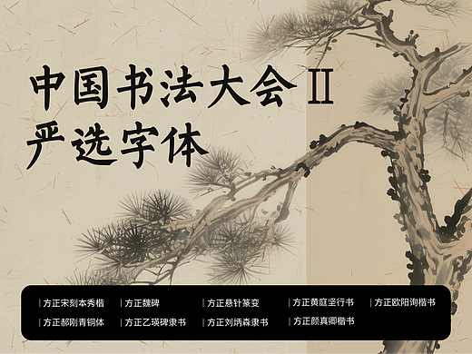 赏书法珍品，荐精品字体——聚焦《中国书法大会》2