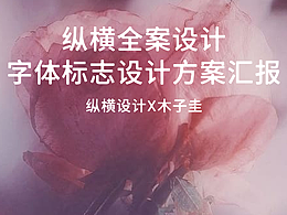 木子圭×纵横全案设计