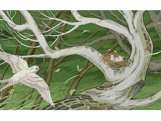 香氛插画 | 林间四季，木香有温