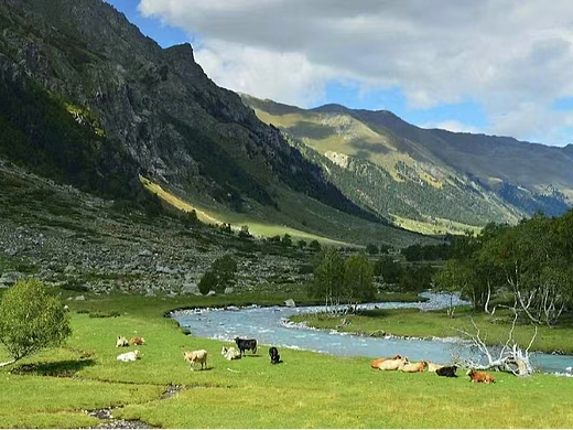 Computer Design（个人主页-ZNzIxNDIwMjg=） - 艺术插画 - 站酷设计师匡珊珊原创素材 - 站酷ZCOOL