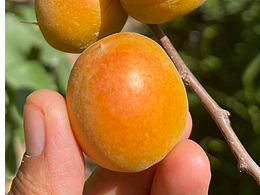 短視頻剪輯看這里