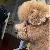 lyamn的头像
