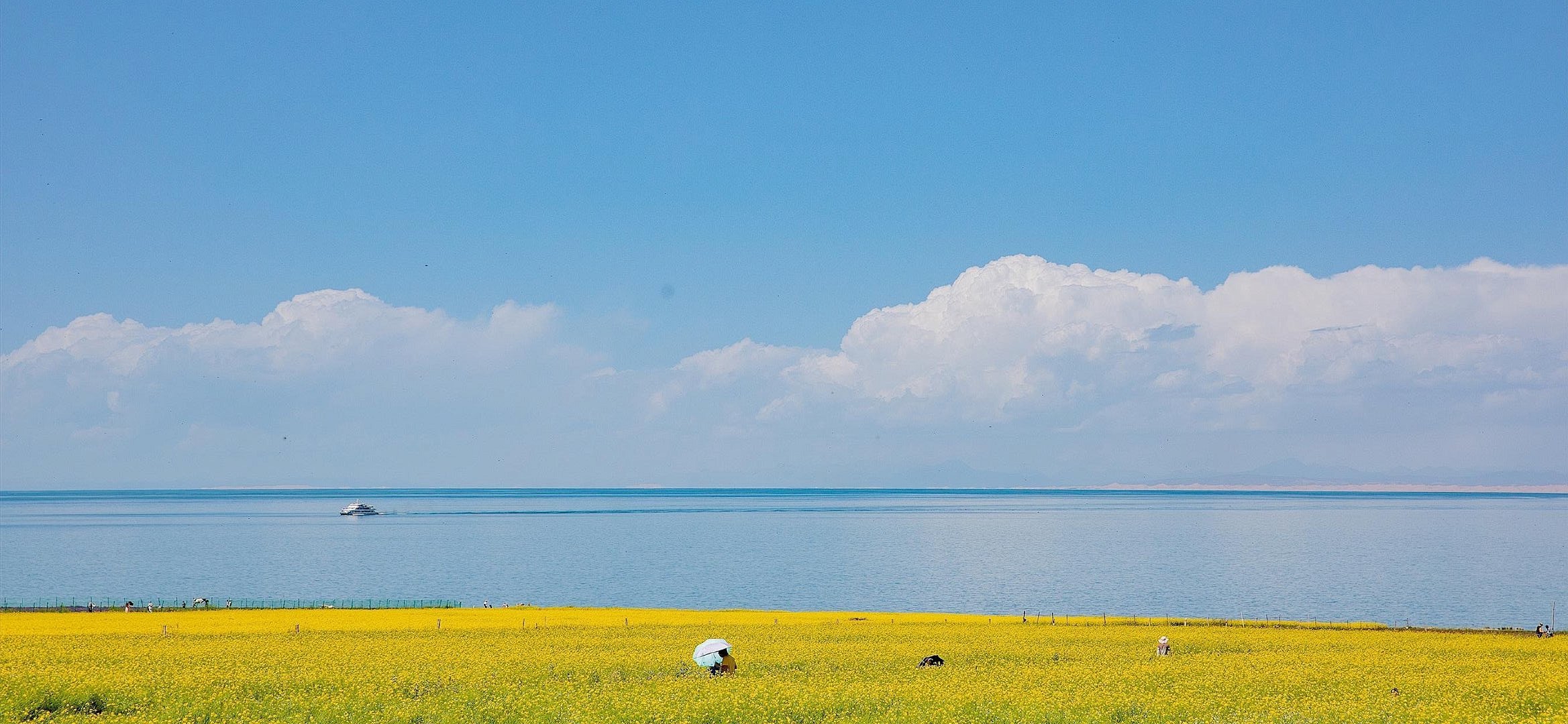 ART設(shè)計(jì)的個(gè)人主頁（封面預(yù)覽） - 主頁封面設(shè)置 - 站酷設(shè)計(jì)師ART設(shè)計(jì)原創(chuàng)素材 - 站酷ZCOOL