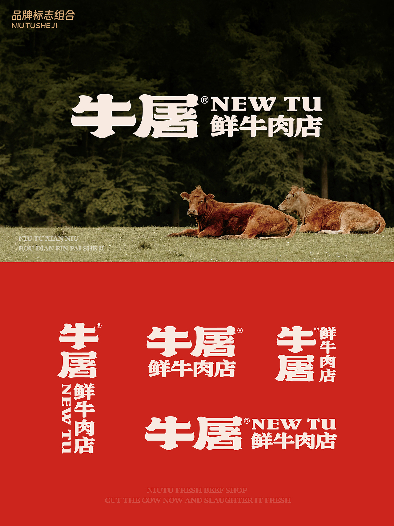 原创设计|tututu~潮汕鲜牛肉店来啦🥩(图ZMzkyNzQ4NDA4) - 品牌 - 站酷设计师不动事多品牌设计原创素材 - 站酷ZCOOL