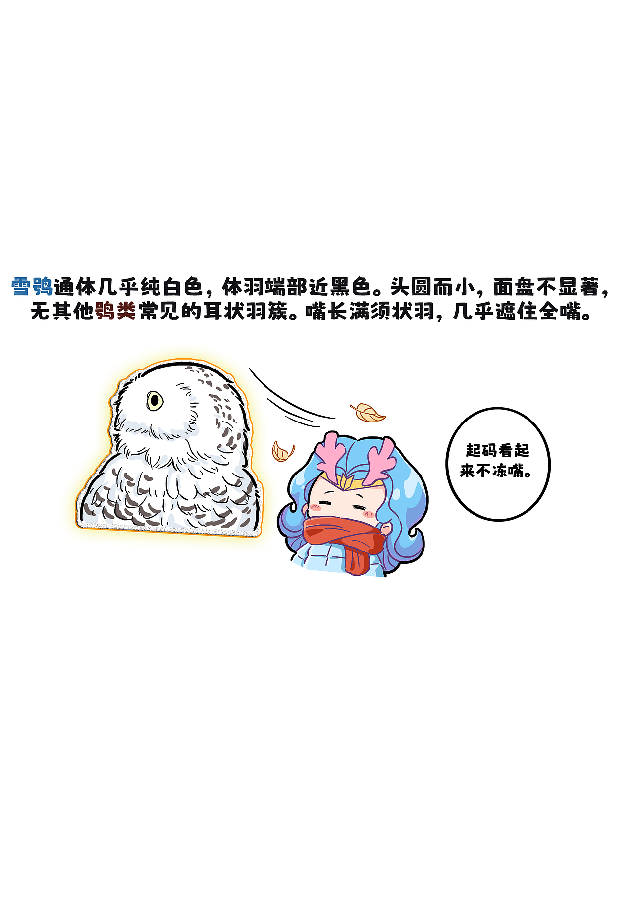 雪鸮是魔法信使?